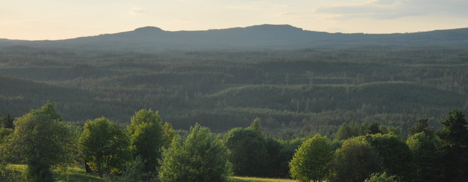 Utsikt från Skattungbyn